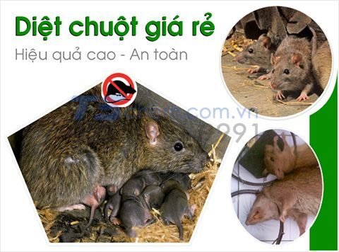 BaCO3 được ứng dụng trong việc sản xuất thuốc diệt chuột